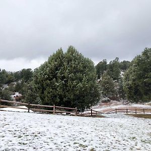 Multi-Family Rocking Horse Ranch With Sauna!